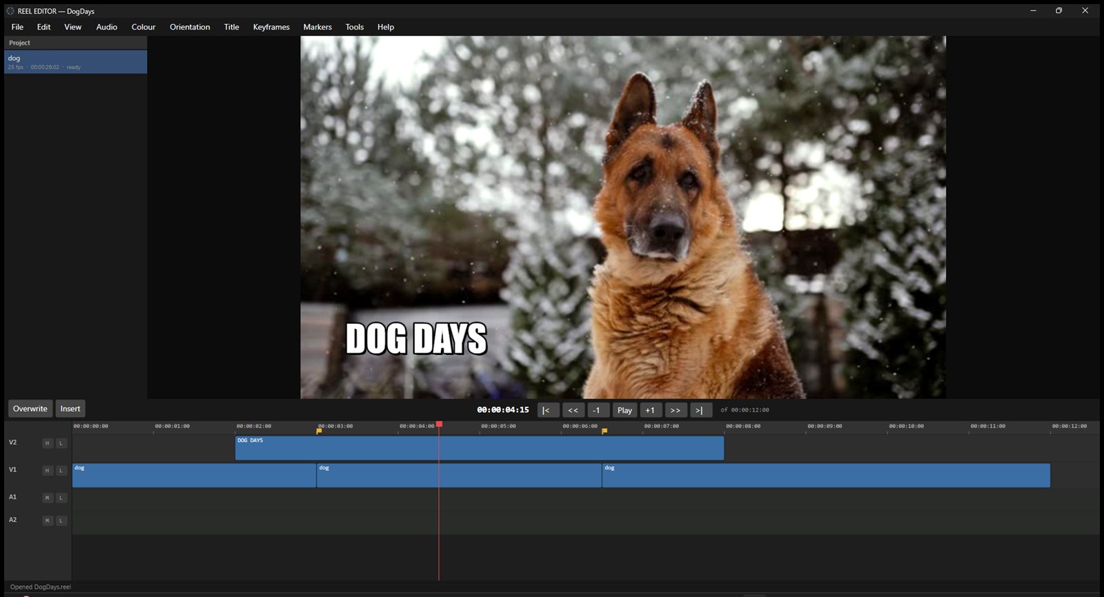 REEL EDITOR editing a project: the monitor shows a graded shot of a dog in snowfall with a bold DOG DAYS title, above a timeline with three cuts, a title track, and markers